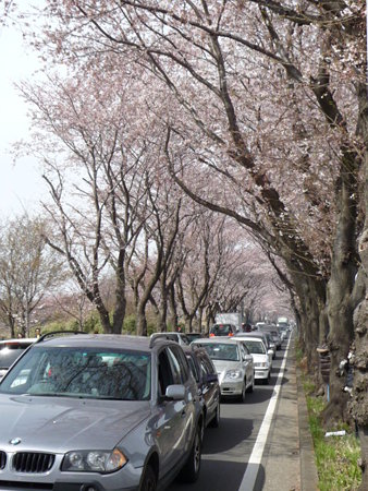 090404-ゲート入口 (2)