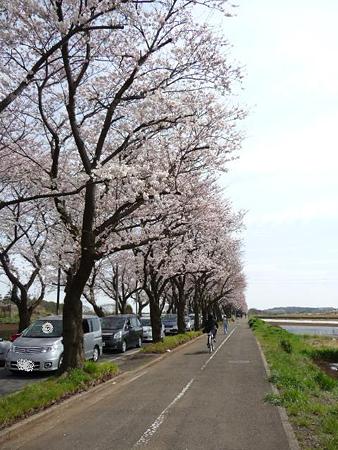 090404-北側入口 (5)