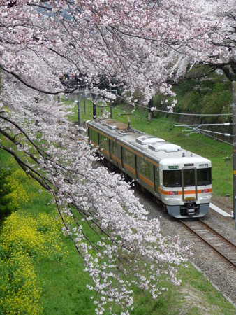 090405-普通列車 (1)