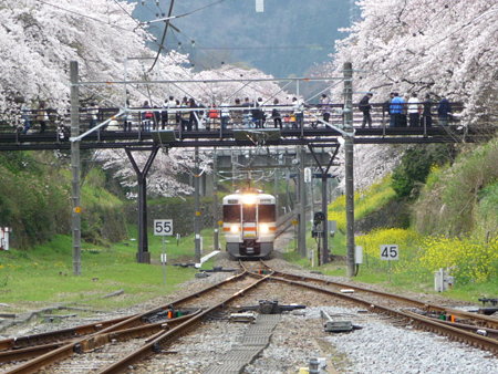 090405-山北駅ホームから (9)
