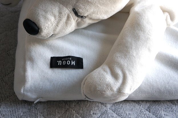 MOGU 写真: MOGU
