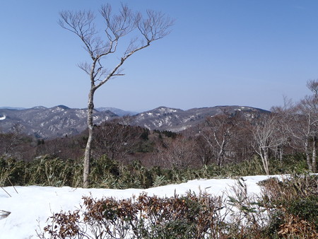 2014041909