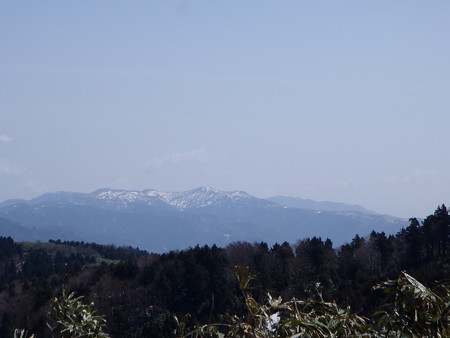 2014041911