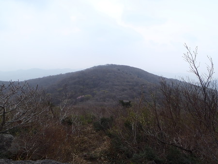 14050310