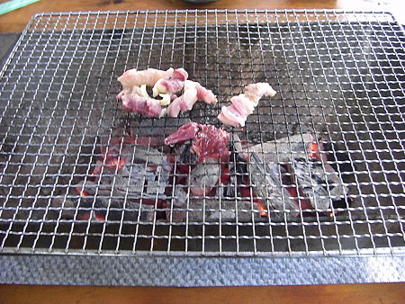 先ずはお手本