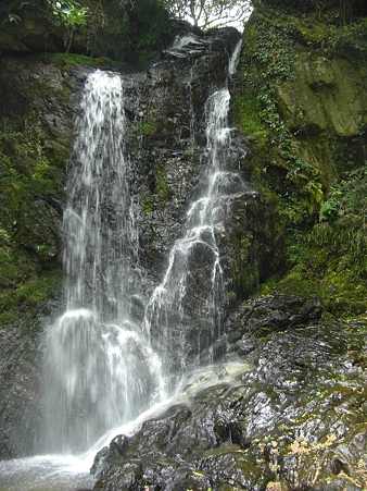 岩尾の滝多分雄滝
