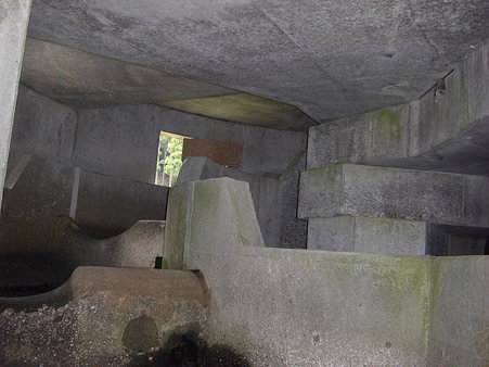 螺旋状になってます
