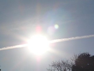 太陽に一筋