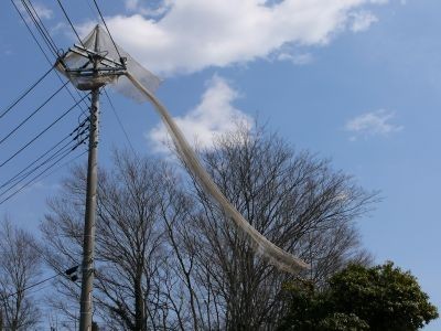 電信柱にマフラー