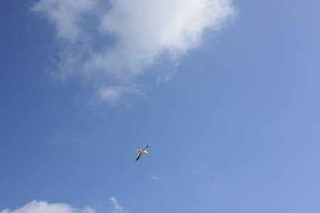 青空