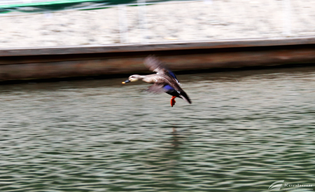 Blog_20140428_022