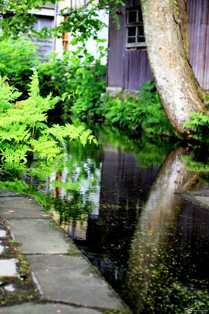 Blog_20140518_009