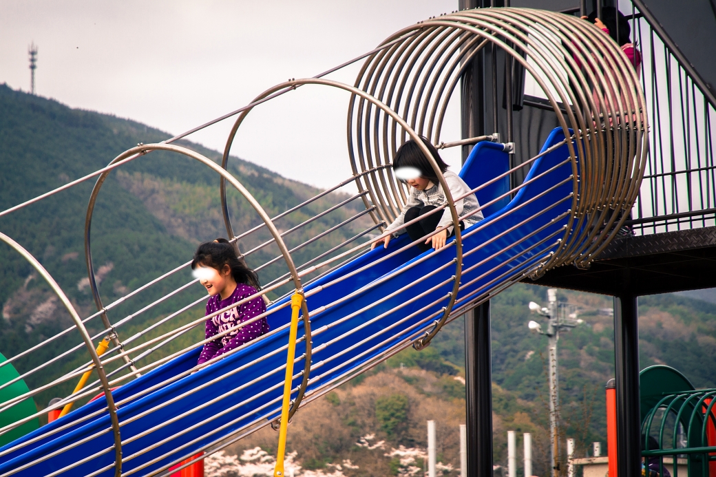 IMG_1512 写真: IMG_1512