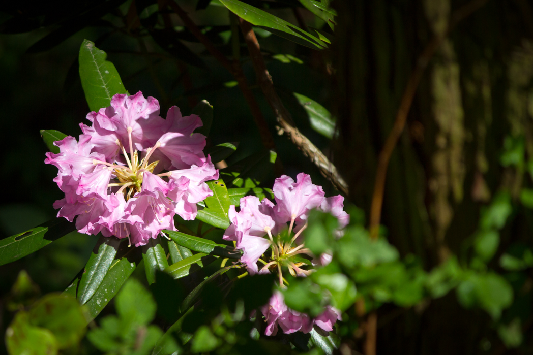 写真: IMG_3393