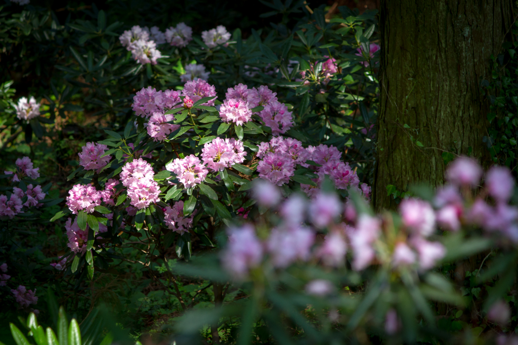写真: IMG_3395