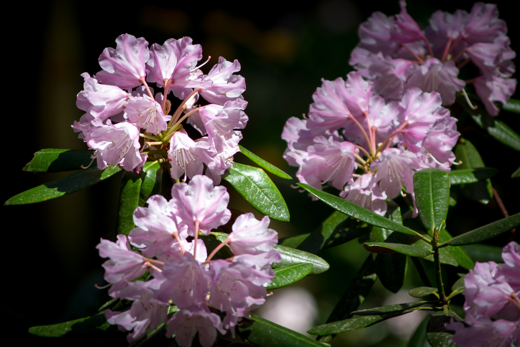 写真: IMG_3400