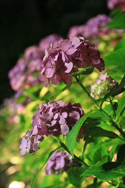 08