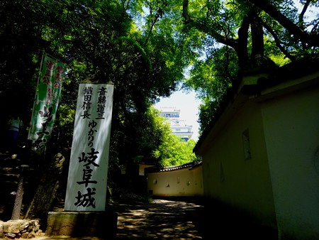 DSC02554