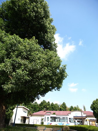 鹿沼駅34
