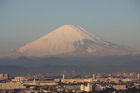 2008