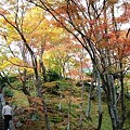 Photos: 京都の紅葉