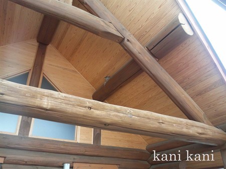 道の駅にしかたの屋根にツバメの巣♪