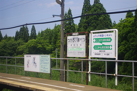 IMGP1566
