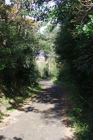 IMGP9197