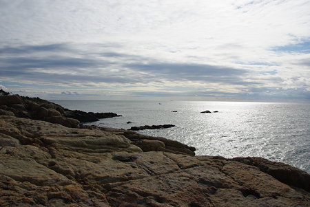 IMGP0558