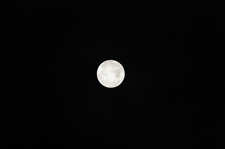 IMGP0199