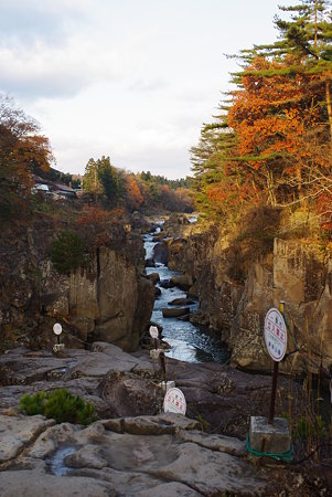 IMGP0731