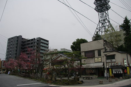 IMGP6139
