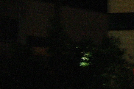 IMGP3834