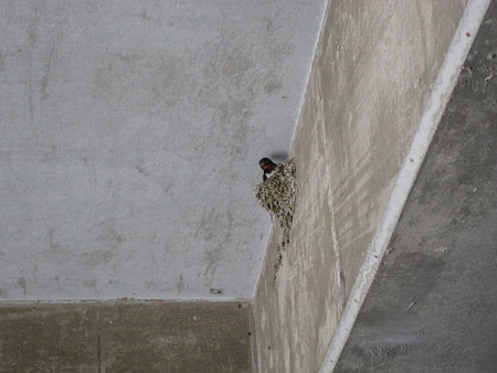 20080523