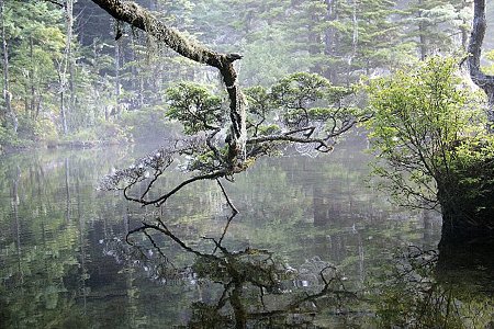 2008.08.12　神降地　明神池　2