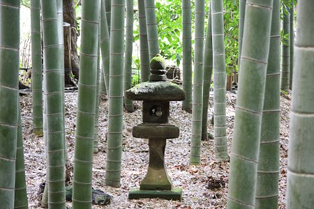 2009.03.07　報国寺　灯篭