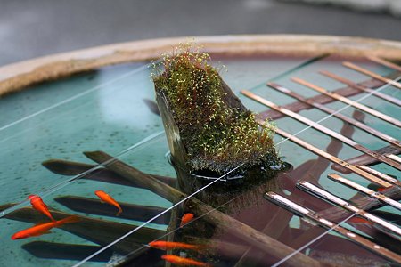 2009.03.07　報国寺　金魚鉢