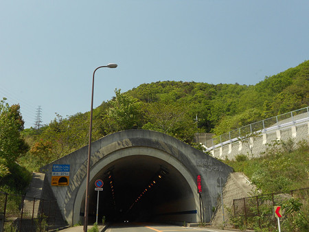resize1294