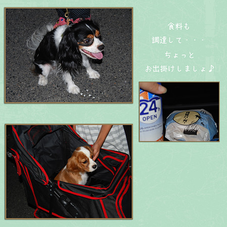 夜のお出掛け