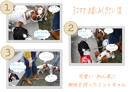 ミントちゃんの挑戦