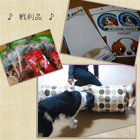 ♪戦利品♪