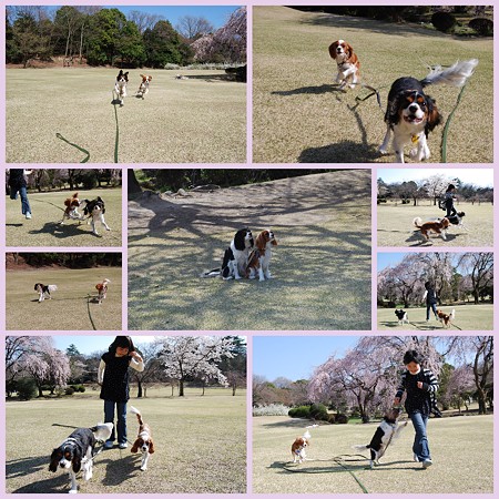 森林公園☆