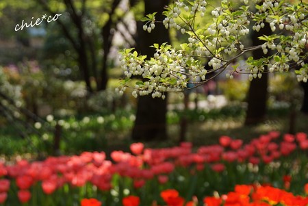 横浜公園-146