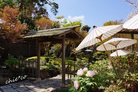 鎌倉-082