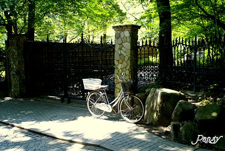 自転車のある風景・・