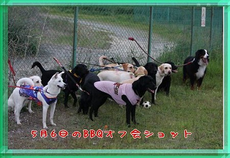 オフ会時