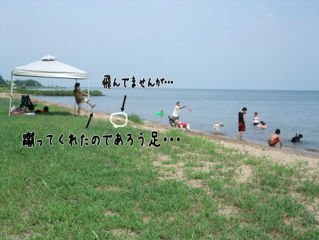 琵琶湖1