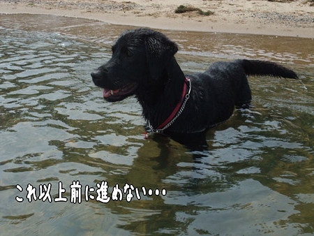 進めない・・・