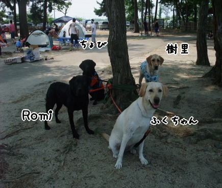 みんな休憩
