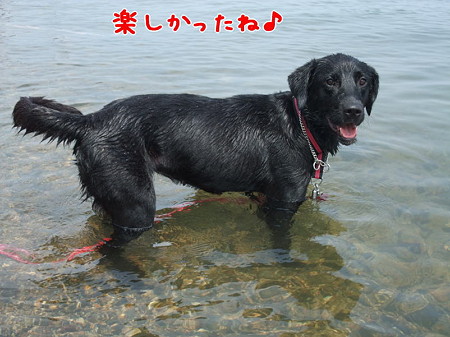 花初泳ぎ7